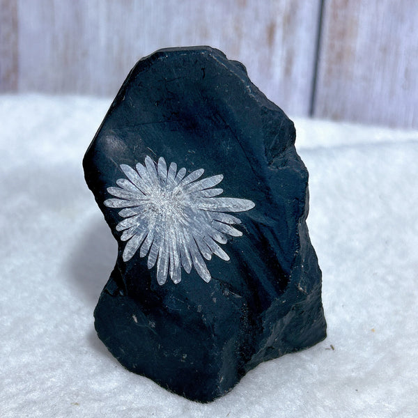 Black Chrysanthemum Raw Stone-ToShay.org