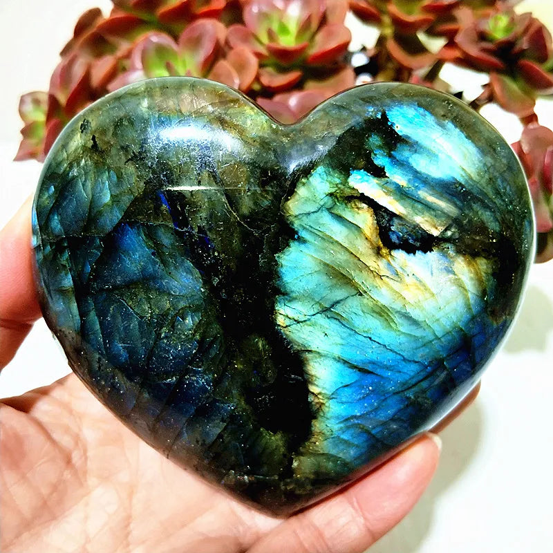 Blue Labrador Heart-ToShay.org