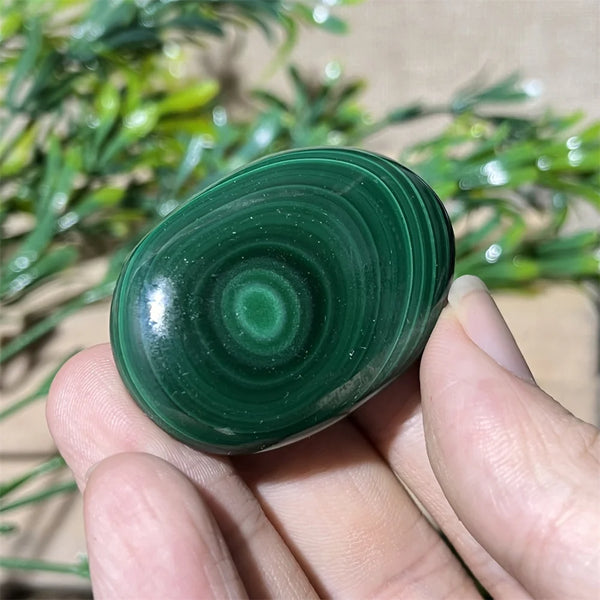 Green Malachite Palm Stone-ToShay.org