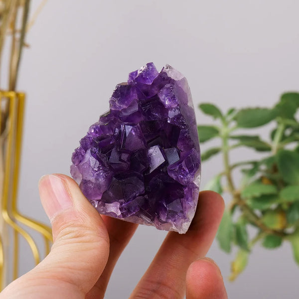 Purple Amethyst Cluster-ToShay.org