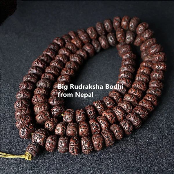 Tibetan Rudraksha Bodhi Beads-ToShay.org