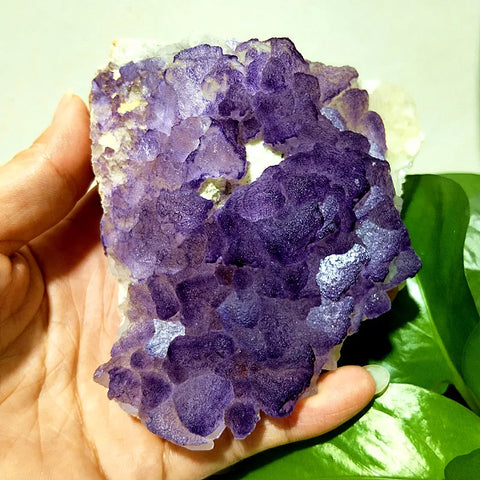 Purple Fluorite Crystal-ToShay.org
