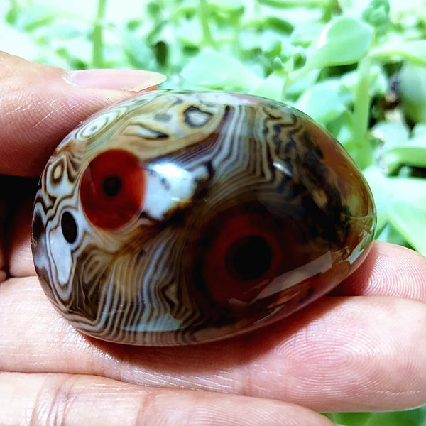 Red Sardonyx Lace Agate-ToShay.org