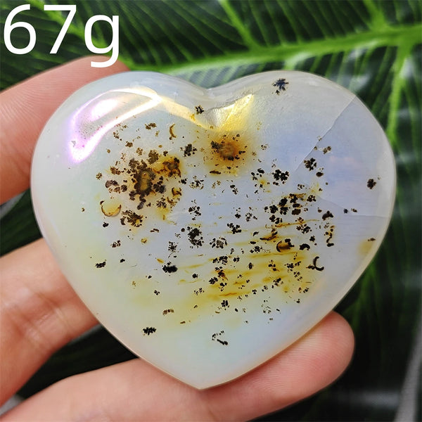 Yellow Tree Agate Heart-ToShay.org