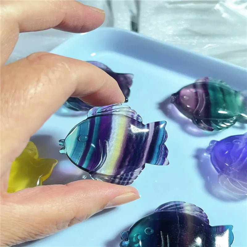 Rainbow Fluorite Fish-ToShay.org