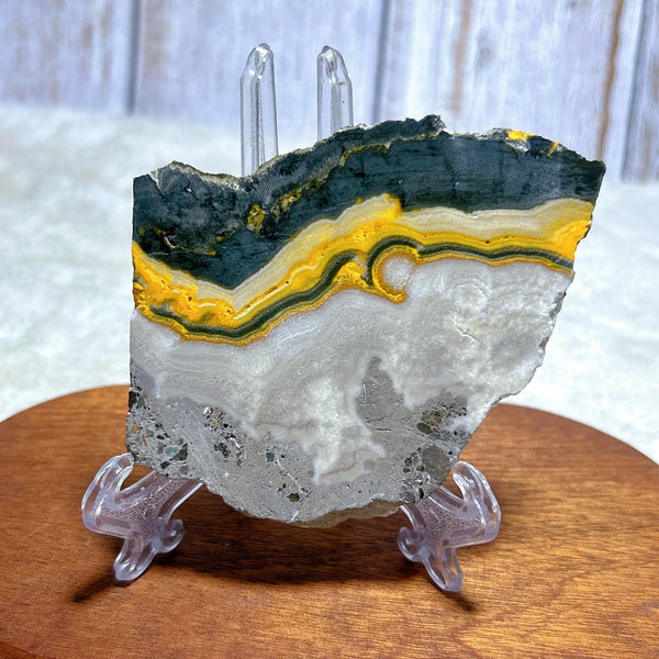 Yellow Bumblebee Slab-ToShay.org