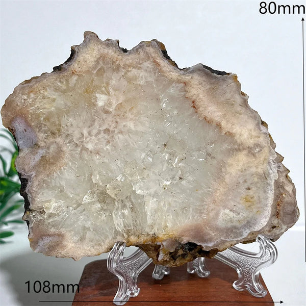 Pink Amethyst Flower Agate-ToShay.org