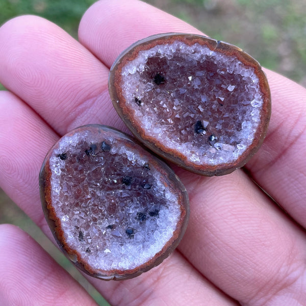 Mixed Agate Geode Egg-ToShay.org