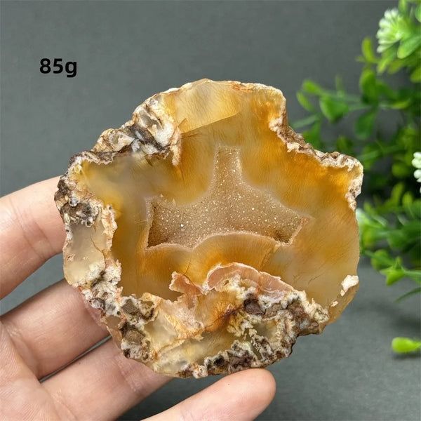 Red Cherry Blossom Agate-ToShay.org