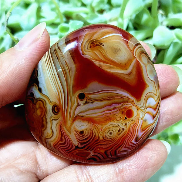 Red Sardonyx Lace Agate-ToShay.org