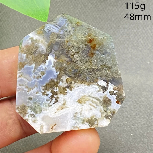 Green Water Plant Agate-ToShay.org