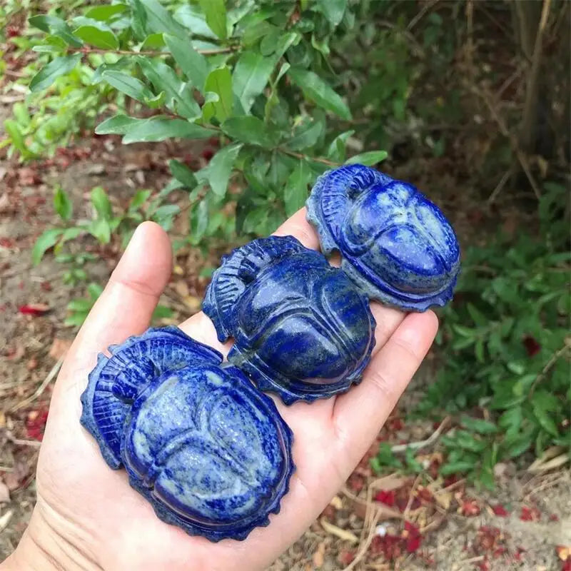 Blue Lapis Lazuli Beetle-ToShay.org