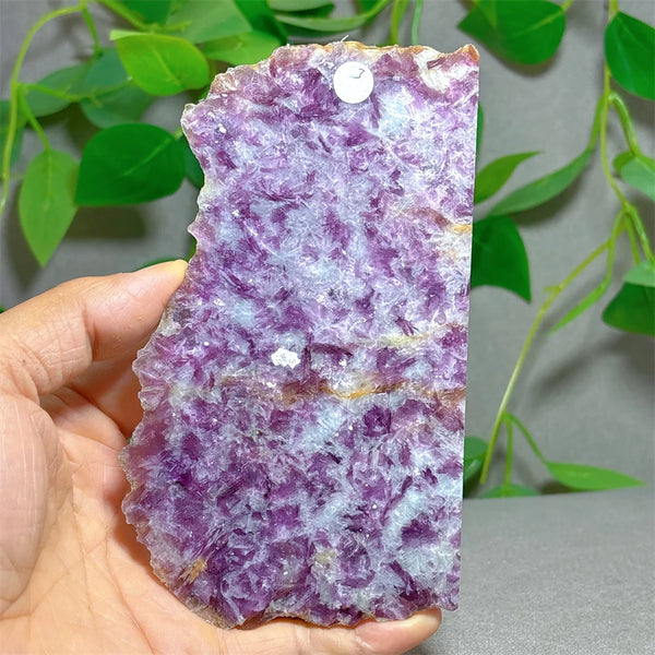 Purple Lepidolite Crystal-ToShay.org