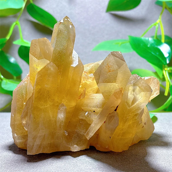 Yellow Citrine Crystal Cluster-ToShay.org