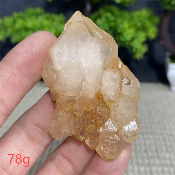 White Quartz Crystal Cluster-ToShay.org
