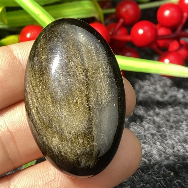 Silver Black Obsidian-ToShay.org