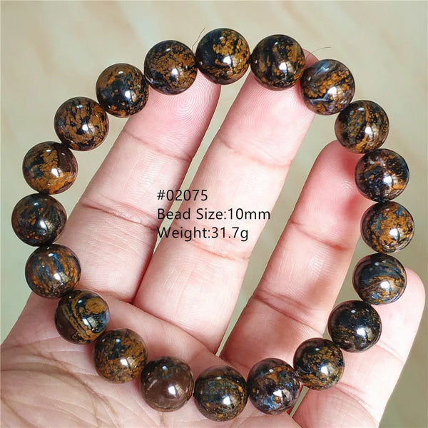 Blue Pietersite Bracelet-ToShay.org
