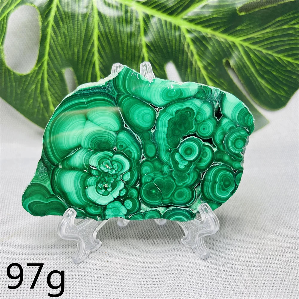 Green Malachite Slice-ToShay.org