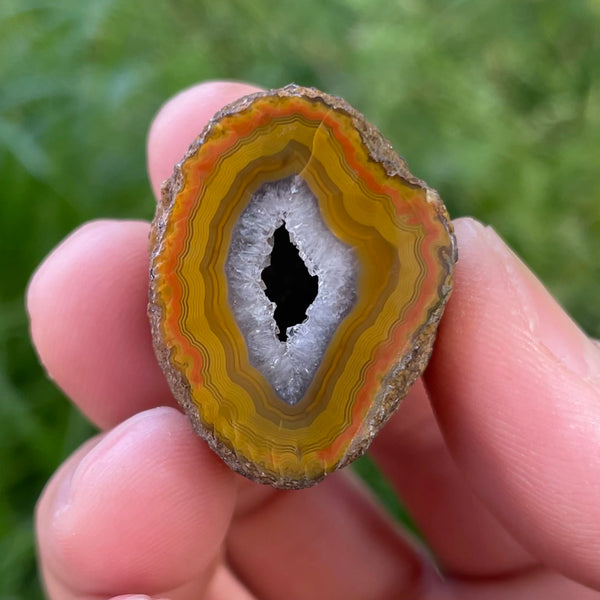 Yellow Agate Geode Egg-ToShay.org