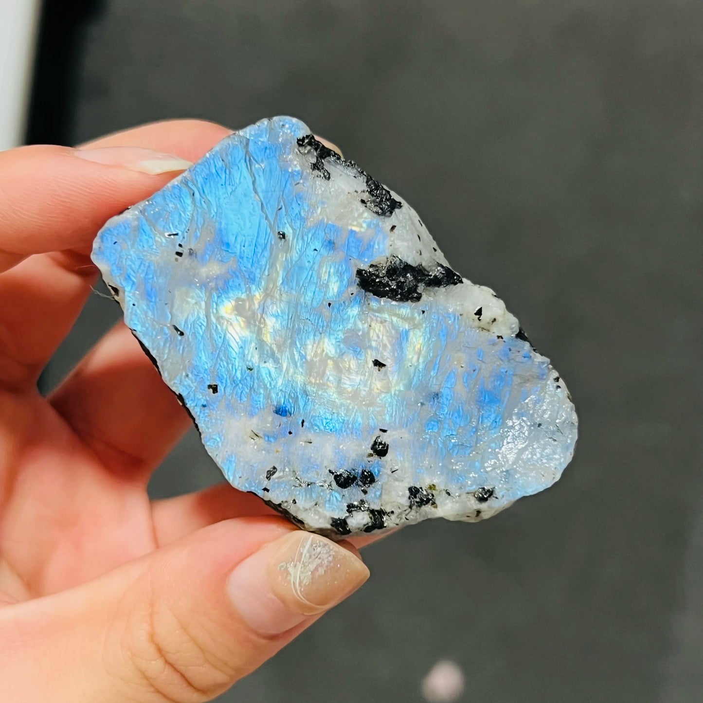 Blue Rainbow Moonstone-ToShay.org