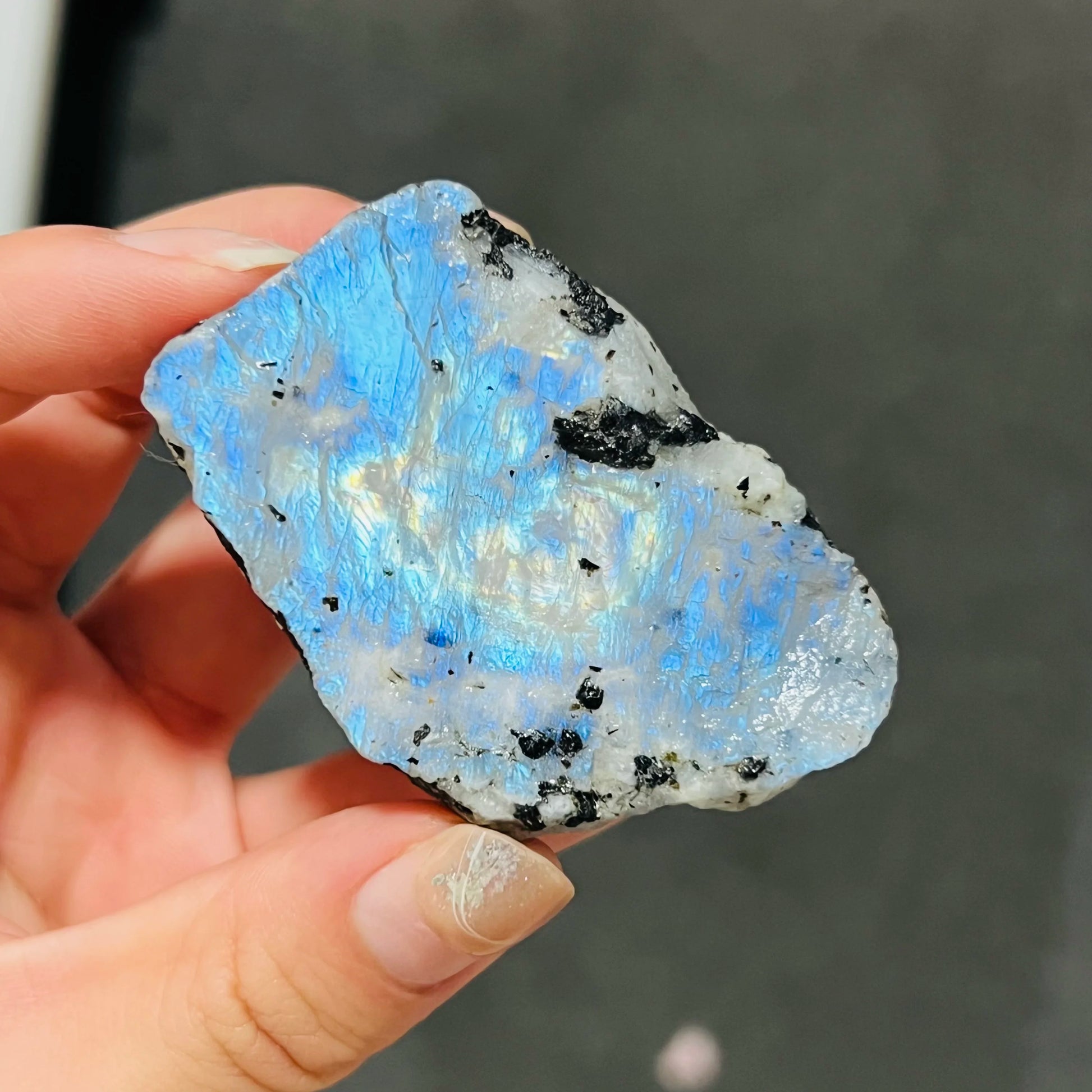 Blue Rainbow Moonstone-ToShay.org