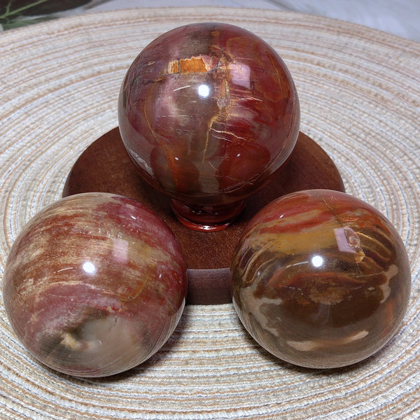 Brown Petrified Wood Ball-ToShay.org