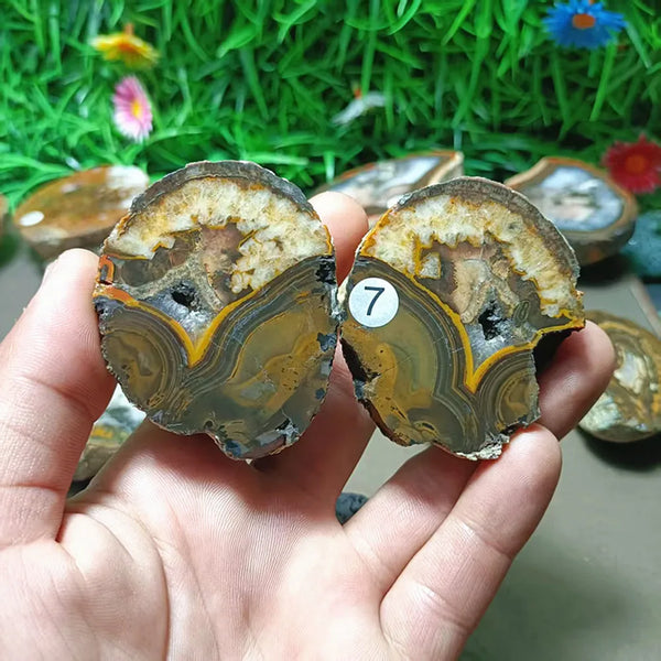 Mixed Agate Quartz Crystal-ToShay.org
