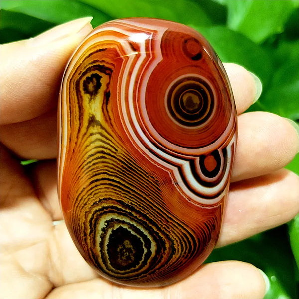 Red Lace Sardonyx Agate-ToShay.org