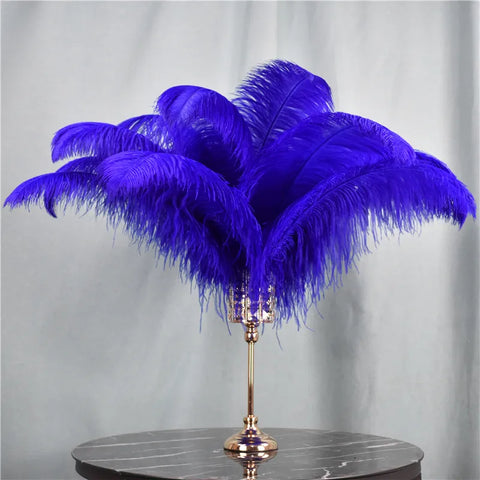 Blue Ostrich Feathers-ToShay.org