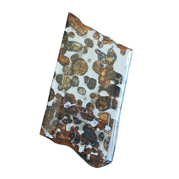 Olive Meteorite Slice-ToShay.org