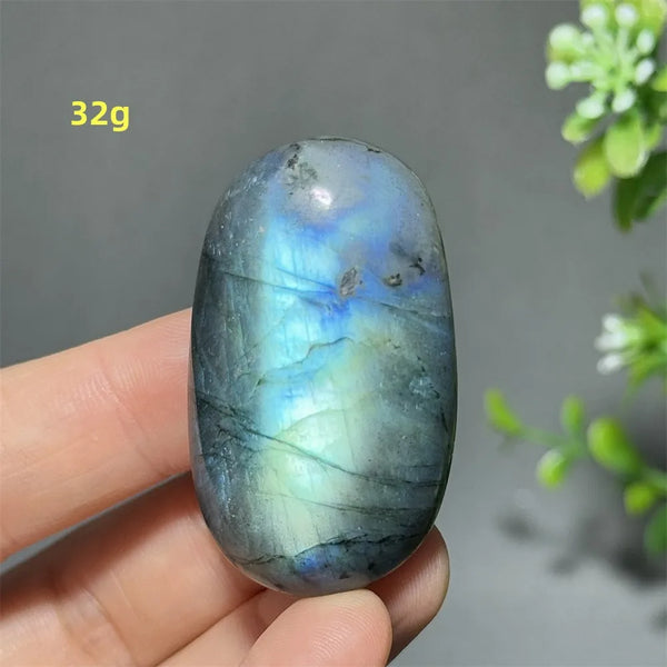 Blue Labrador Palm Stone-ToShay.org