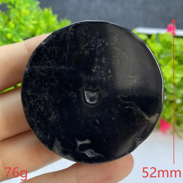 Black Agate Slice-ToShay.org