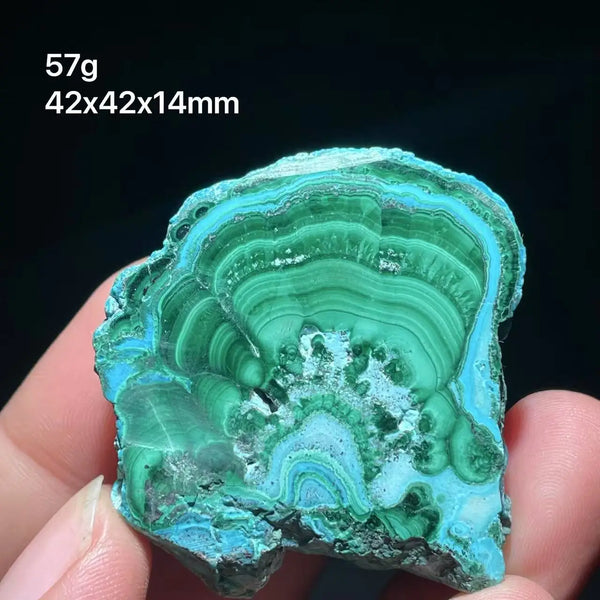 Green Chrysocolla Malachite Slice-ToShay.org
