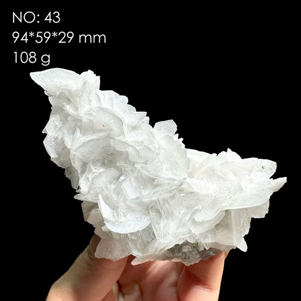 White Calcite Rose-ToShay.org