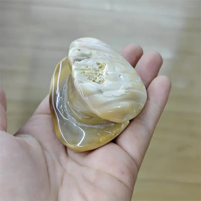 Natural Carnelian Shell Pearl Carving Cute Animal Craft Home Office Decoration Ornament Holiday Gift 1pcs-ToShay.org