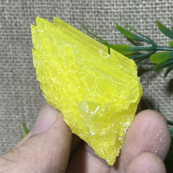 Yellow Sulphur Quartz-ToShay.org