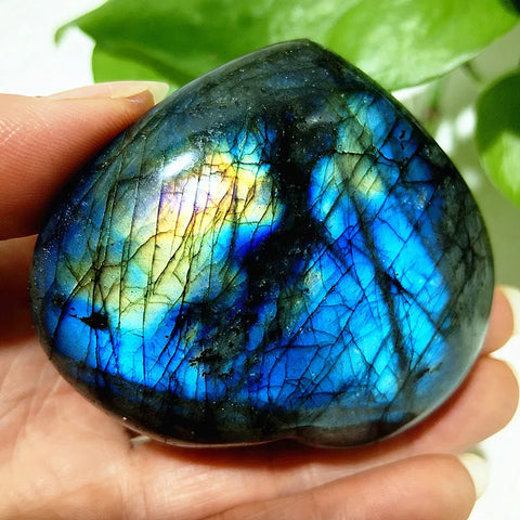 Blue Labrador Stone Heart-ToShay.org