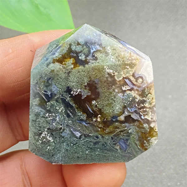 Green Water Plant Agate-ToShay.org