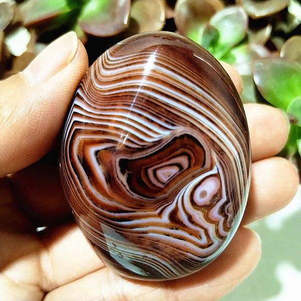 Red Flower Agate Palm Stone-ToShay.org