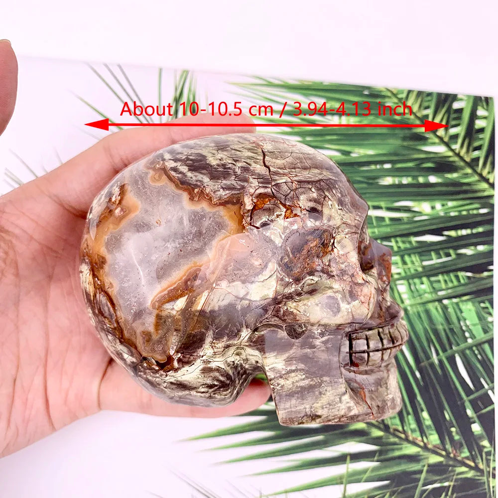 Red Money Agate Skull-ToShay.org