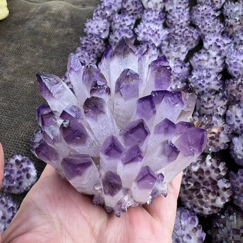 Violet Ghost Phantom Quartz-ToShay.org