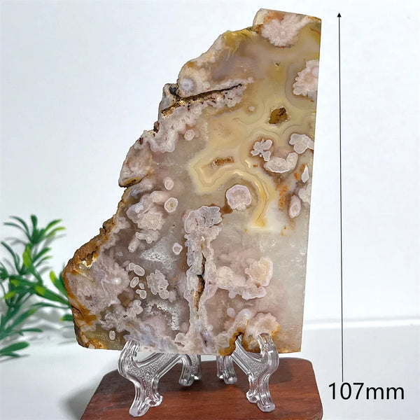Pink Amethyst Flower Agate-ToShay.org