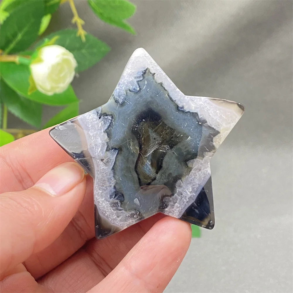 Black Cherry Blossom Agate-ToShay.org