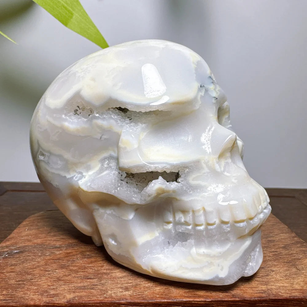 White Agate Geode Cranium Natural Stones Crystals Chakra Skulls Wicca Wichcraft Reiki Healing Gems Minerals Meditation Room-ToShay.org