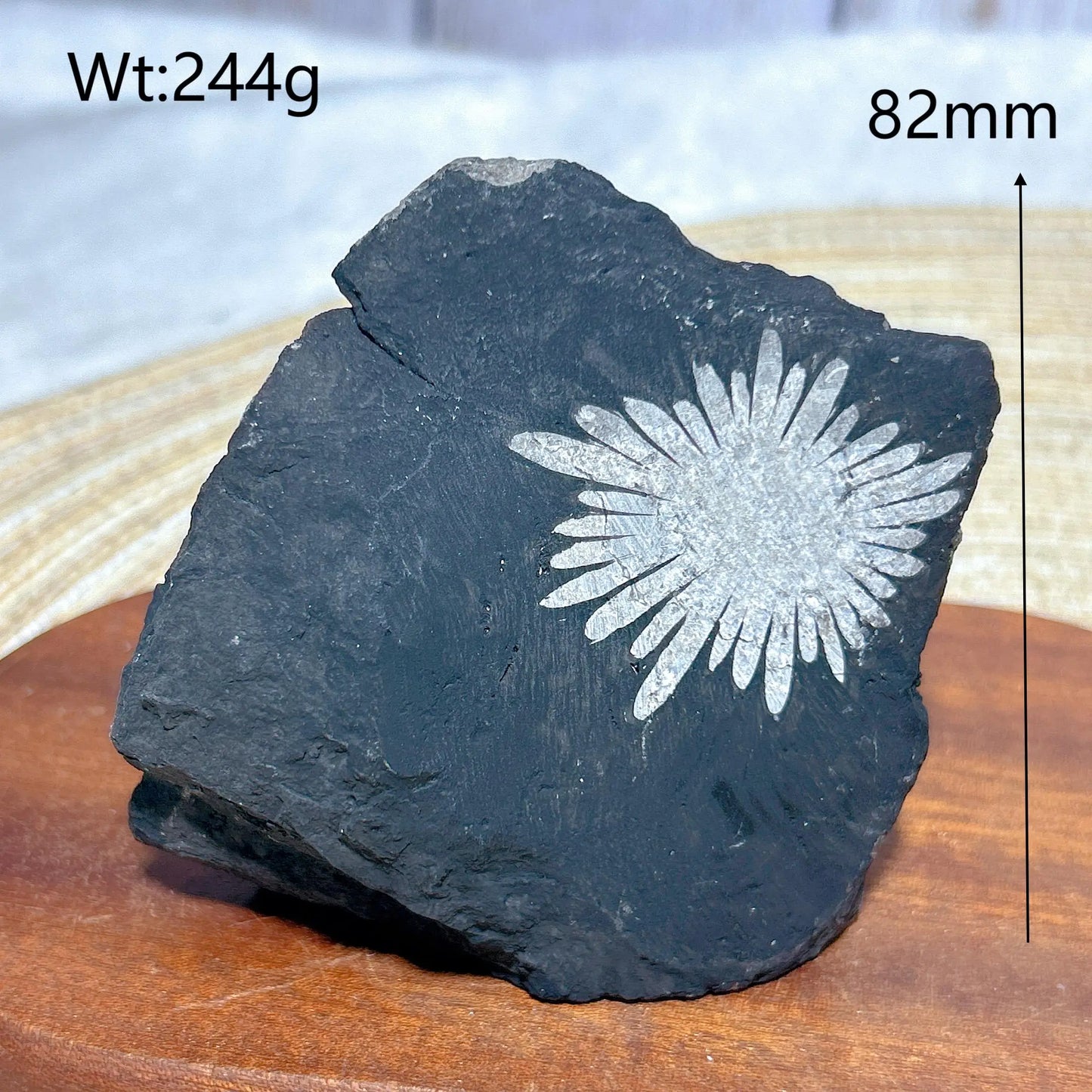 Black Chrysanthemum Raw Stone-ToShay.org