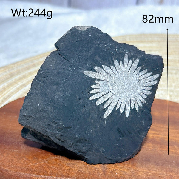 Black Chrysanthemum Raw Stone-ToShay.org