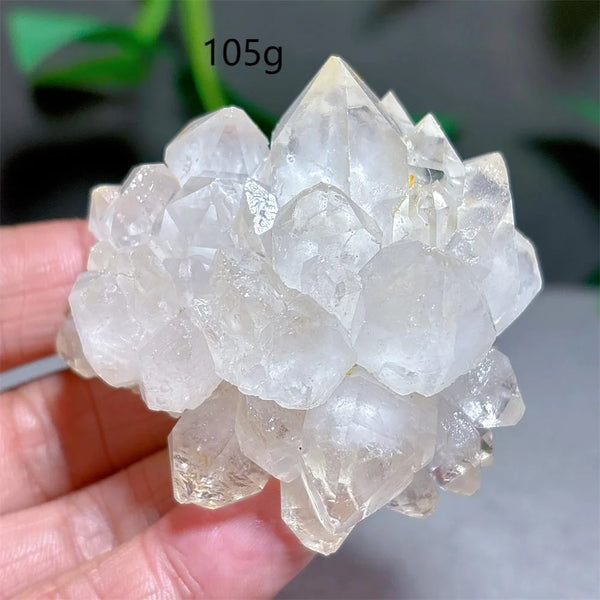 Clear Lotus Backbone Quartz Cluster-ToShay.org