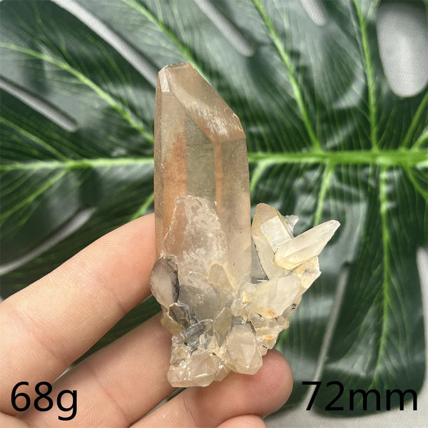 Clear Pineapple Quartz Cluster-ToShay.org