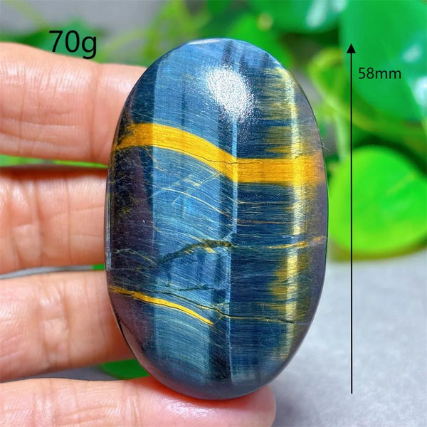 Blue Yellow Tiger Eye-ToShay.org
