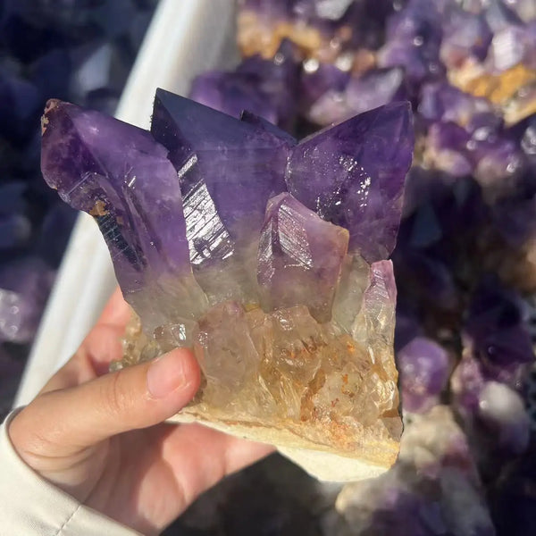 Purple Amethyst Cluster-ToShay.org